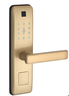 New Office Smart Wifi Door Lock For Aluminum Door