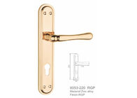 Brass Cylinder Zinc Mortise Door Handle Stainless Steel Lock Body  Chrome Plated