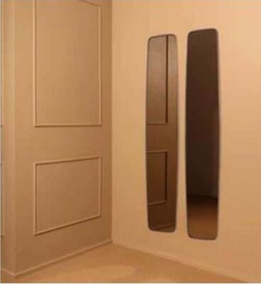 Customized French Room Decorative Large Mirror Wavy Mirror Design Wooden Frame Irregular Shape Dressing Mirror